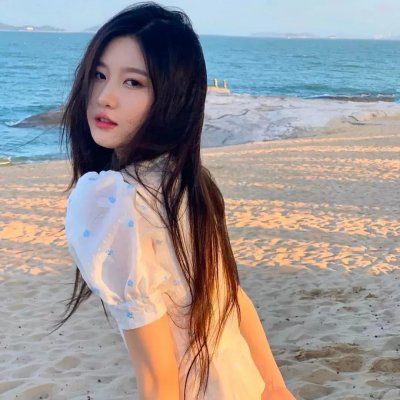 洪学智黑河剿匪